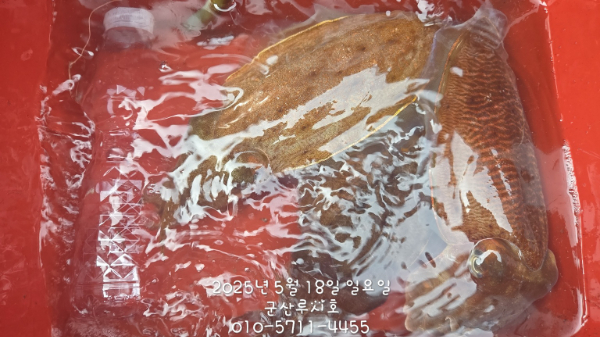 1000055658.jpg