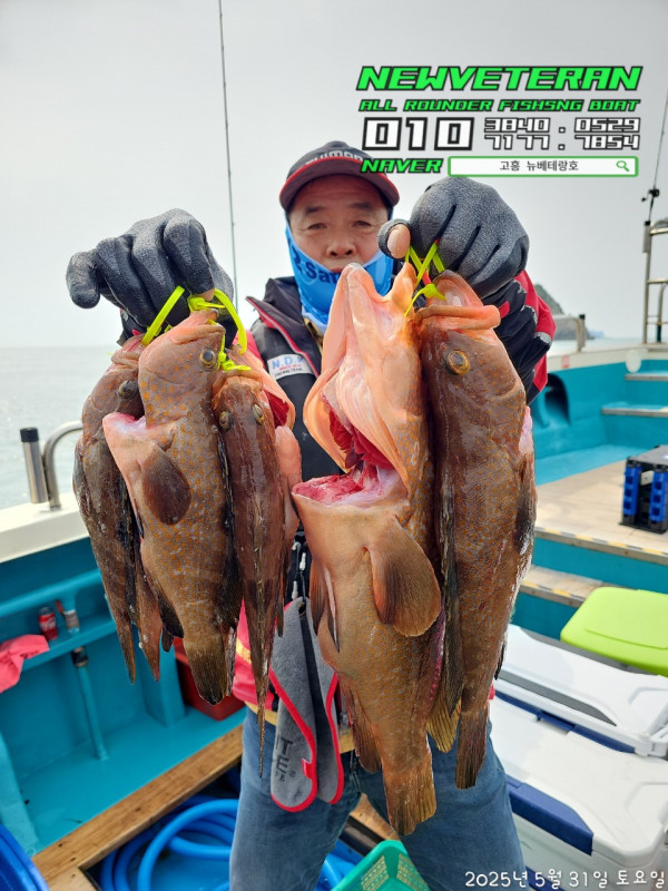 고흥뉴베테랑호_사진_20250531_11.jpg