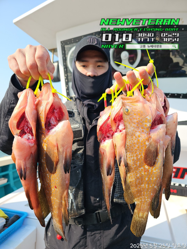 고흥뉴베테랑호_사진_20250525_3.jpg