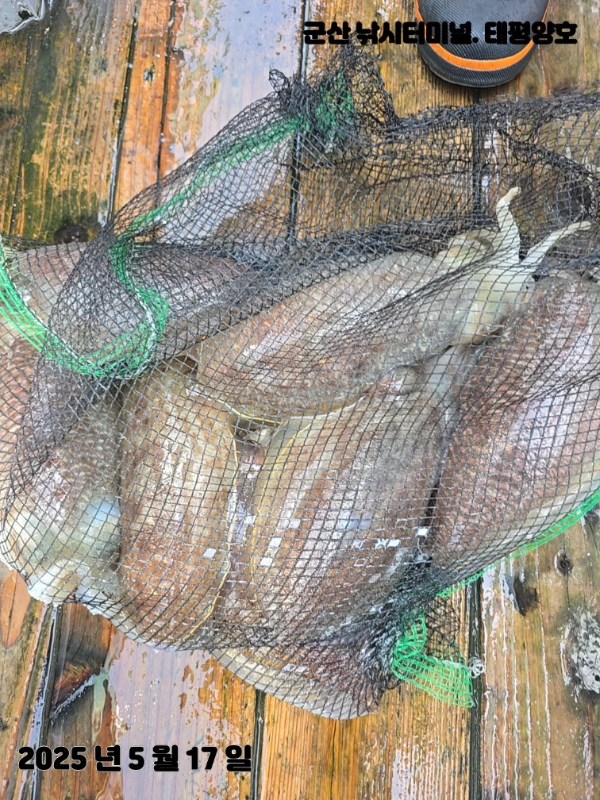 KakaoTalk_20250517_153904114_12 (1).jpg