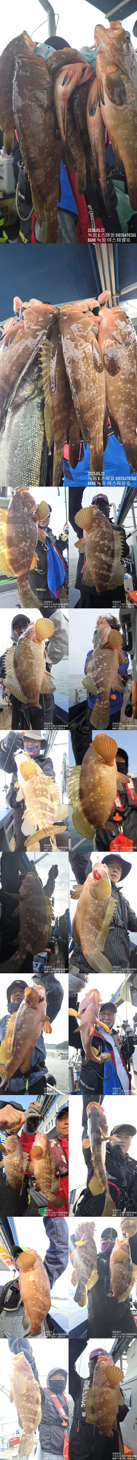KakaoTalk_20250522_202336448_23-1.jpg