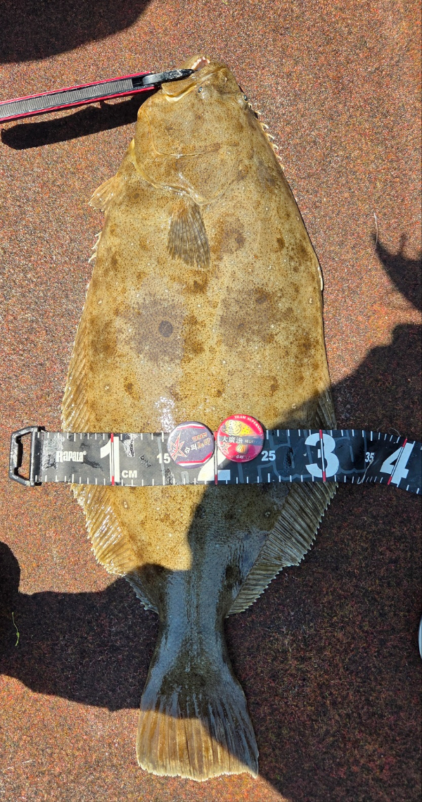 1000026567.jpg
