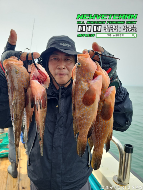 고흥뉴베테랑호_사진_20250531_13.jpg