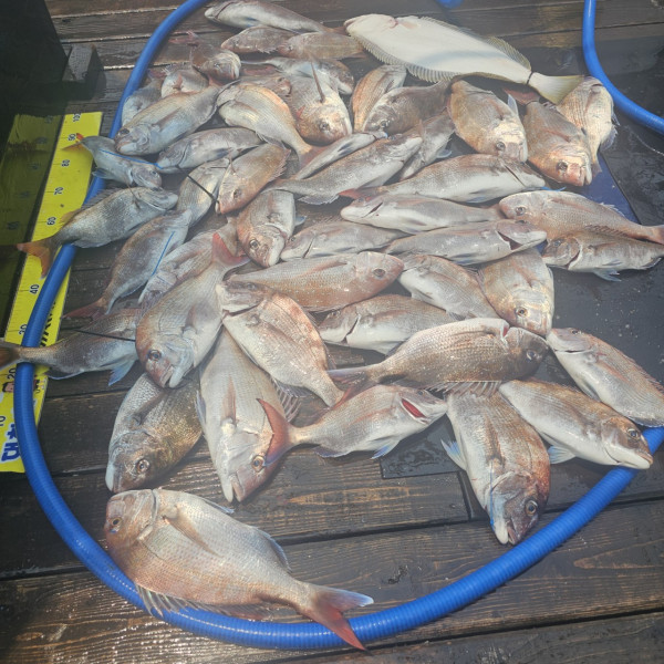 마검포 대한호(VIP)_사진_20250530_3.jpg