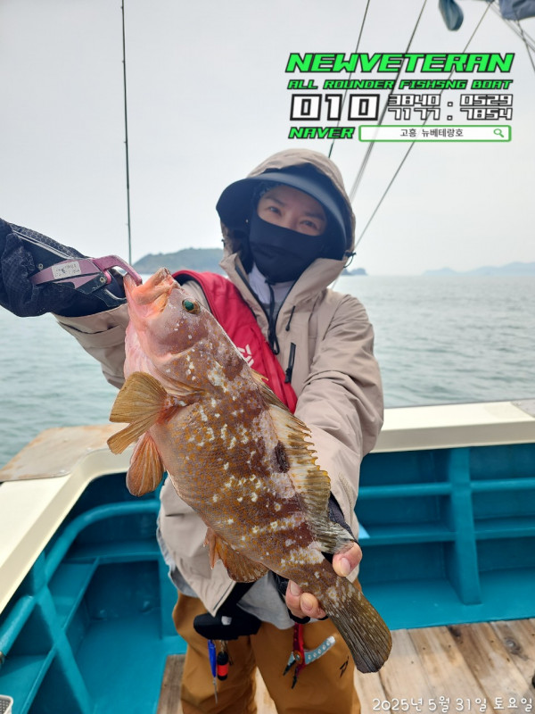 고흥뉴베테랑호_사진_20250531_6.jpg