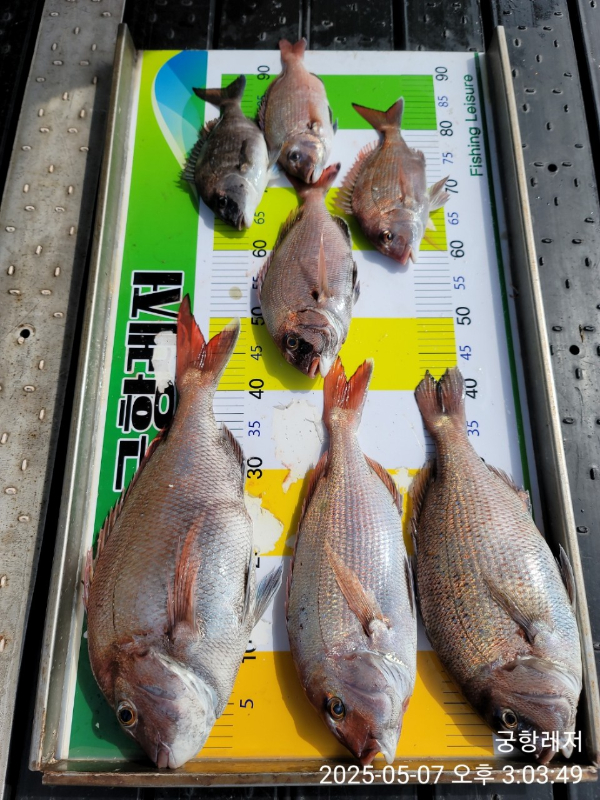 궁항레저_사진_20250507_1.jpg