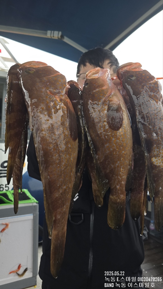 KakaoTalk_20250522_201220845_05.jpg