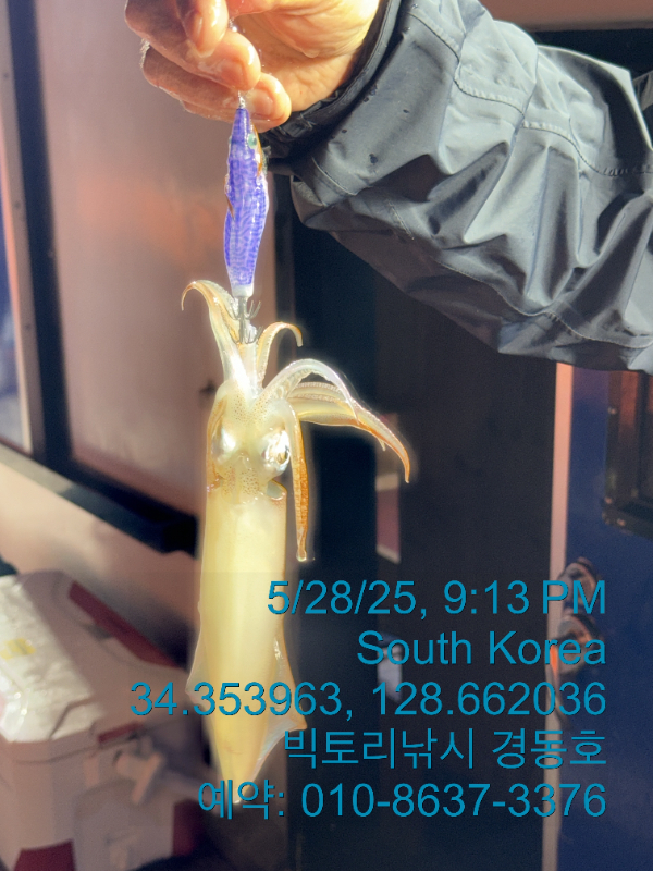 1748469301184.jpg