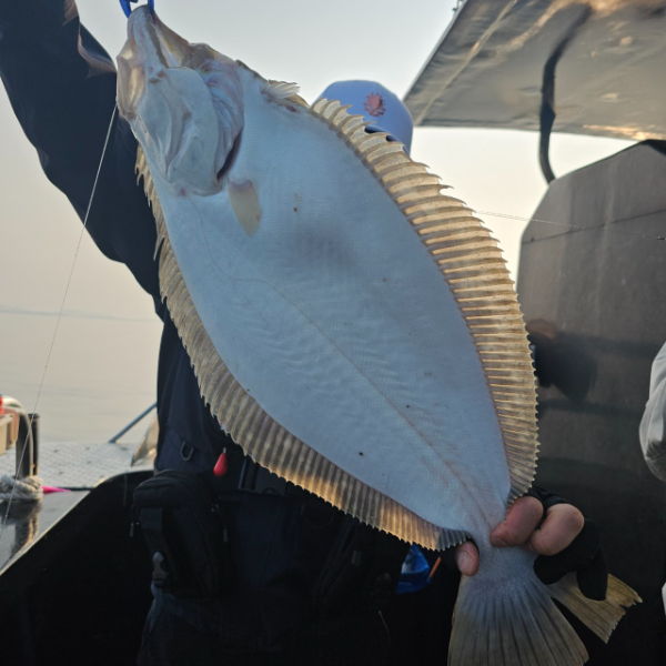 마검포 대한호(VIP)_사진_20250526_4.jpg