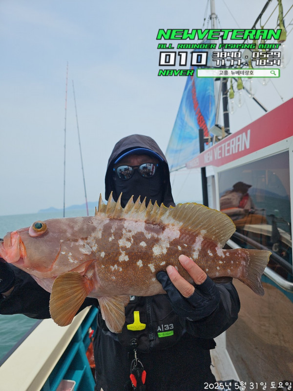 고흥뉴베테랑호_사진_20250531_1.jpg