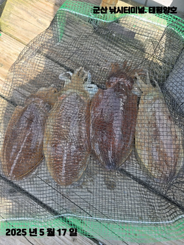 KakaoTalk_20250517_153904114_04 (1).jpg