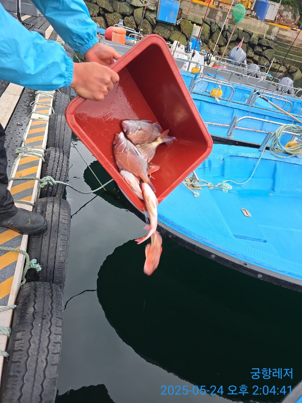 궁항레저_사진_20250524_9.jpg
