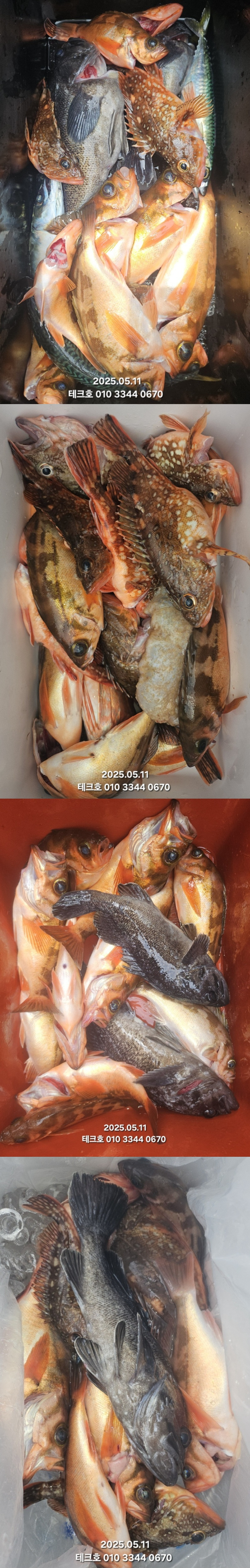 KakaoTalk_20250512_111937828_05-vert.jpg