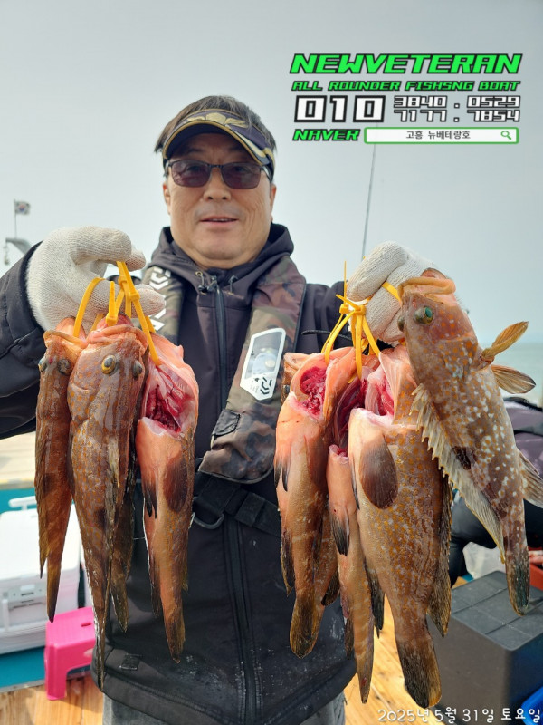 고흥뉴베테랑호_사진_20250531_15.jpg