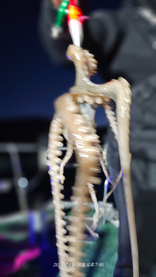 1000009185.jpg