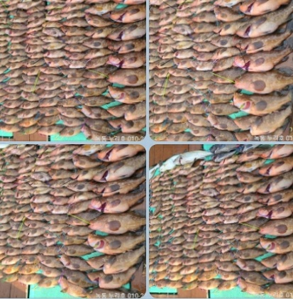 1000006317.jpg