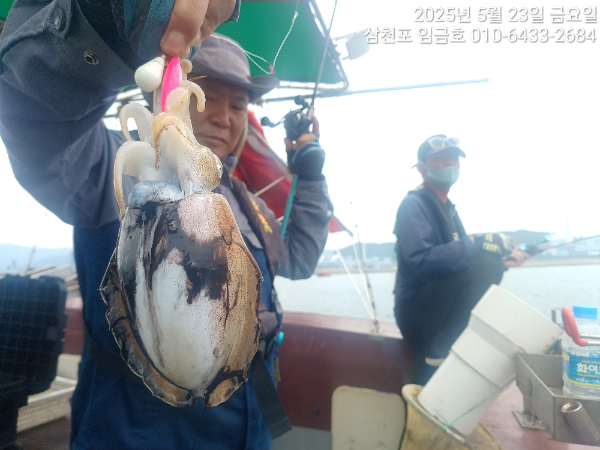 8b9737ac6630dbd5ebb9f509645ac51b.jpg