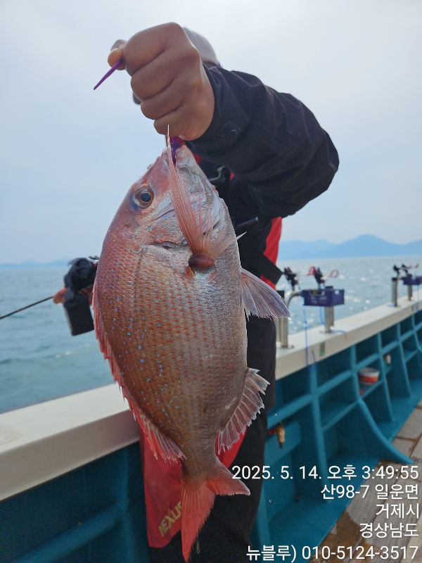 KakaoTalk_20250514_155108401_01.jpg