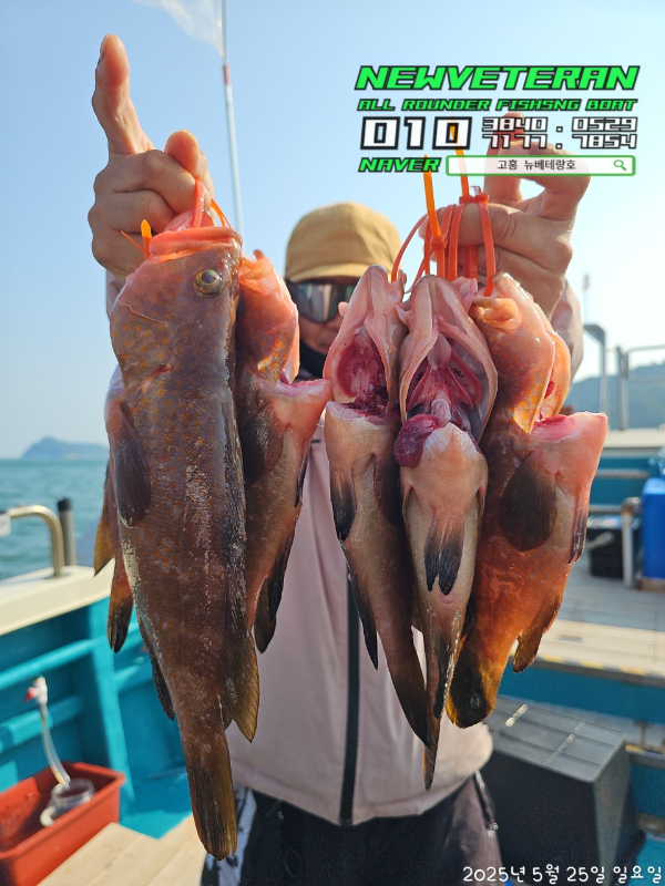 고흥뉴베테랑호_사진_20250525_4.jpg