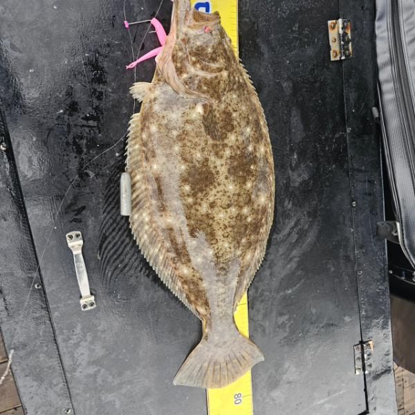 마검포 대한호(VIP)_사진_20250505_2.jpg