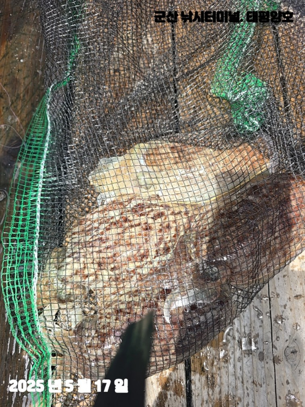 KakaoTalk_20250517_153904114_06 (1).jpg