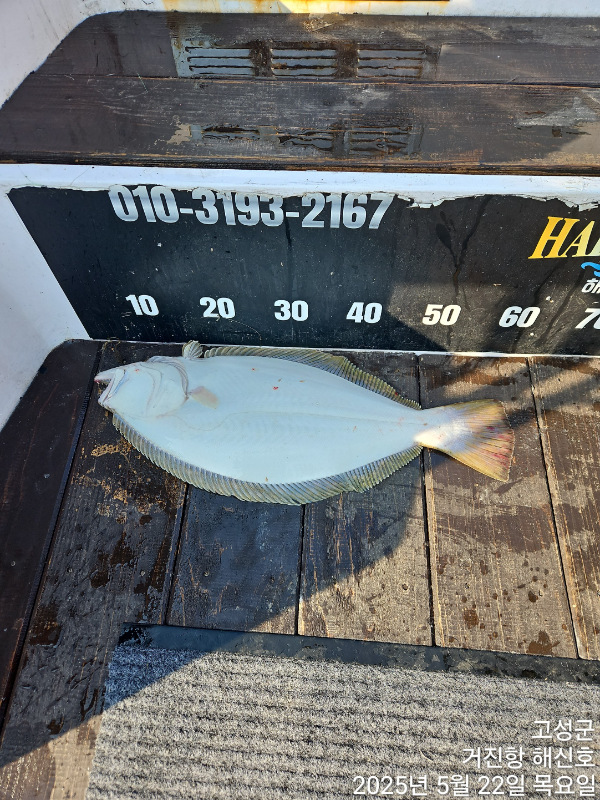 1747905538459.jpg