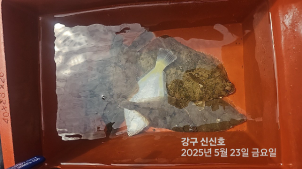 신신낚시 강구점 신신호_사진_20250523_14.jpg