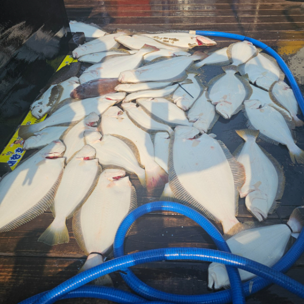 마검포 대한호(VIP)_사진_20250526_5.jpg