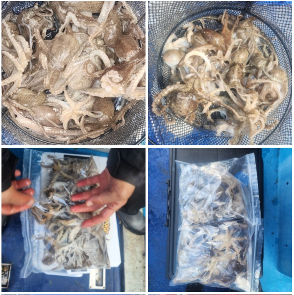 2025-05-03 18 42 10.jpg