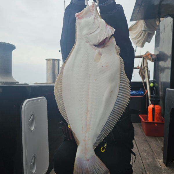 마검포 대한호(VIP)_사진_20250505_4.jpg