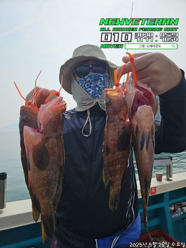 고흥뉴베테랑호_사진_20250528_12.jpg