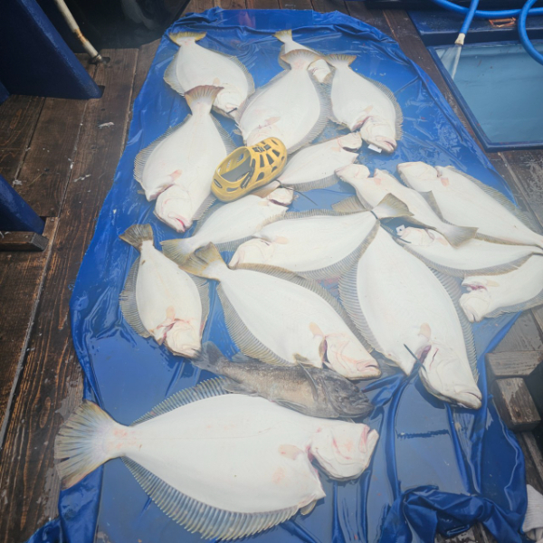 마검포 대한호(VIP)_사진_20250505_7.jpg