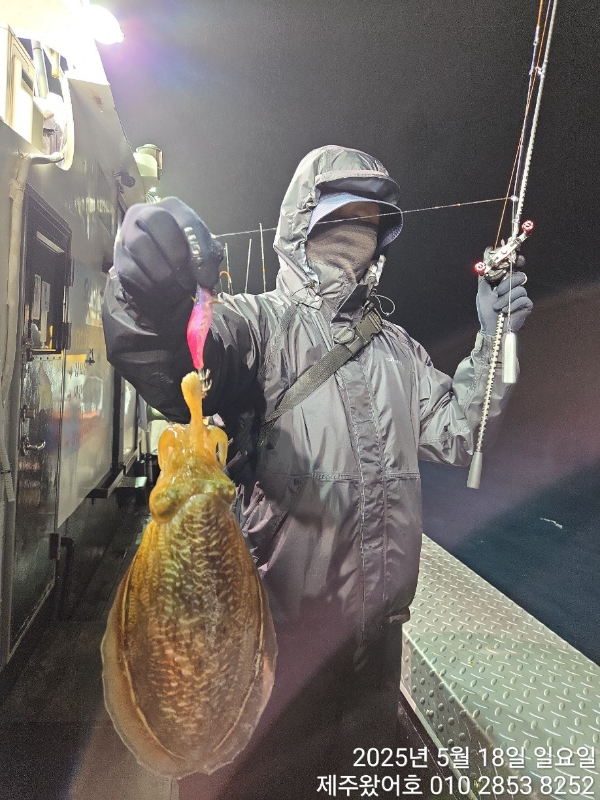 제주왔어호_사진_20250519_6.jpg