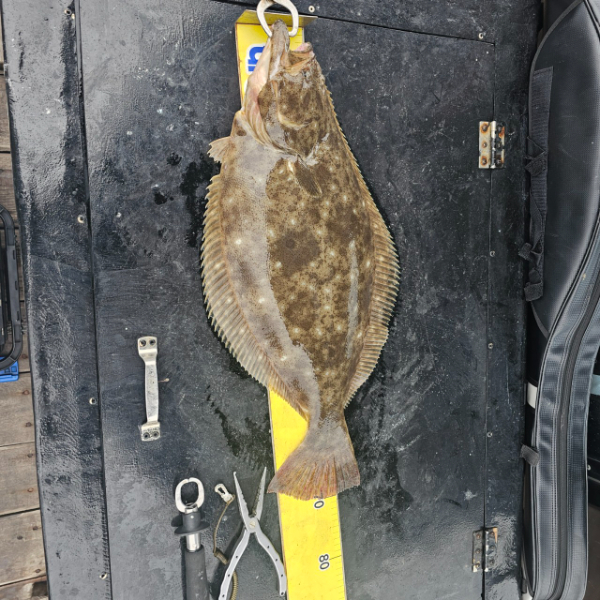 마검포 대한호(VIP)_사진_20250505_5.jpg