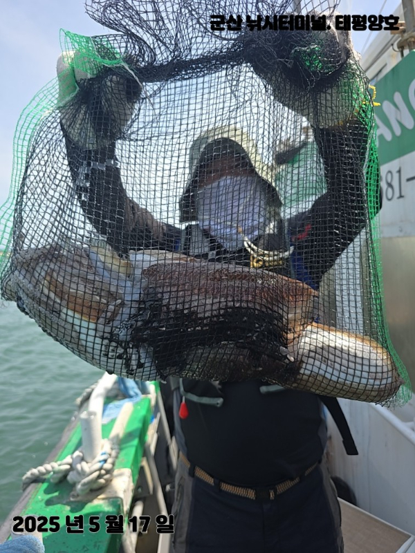 KakaoTalk_20250517_153904114_11 (1).jpg