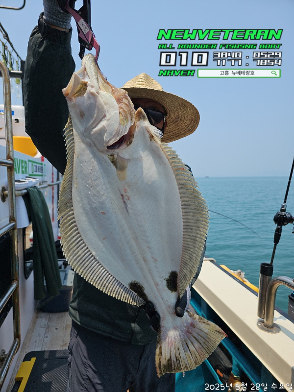 고흥뉴베테랑호_사진_20250528_2.jpg