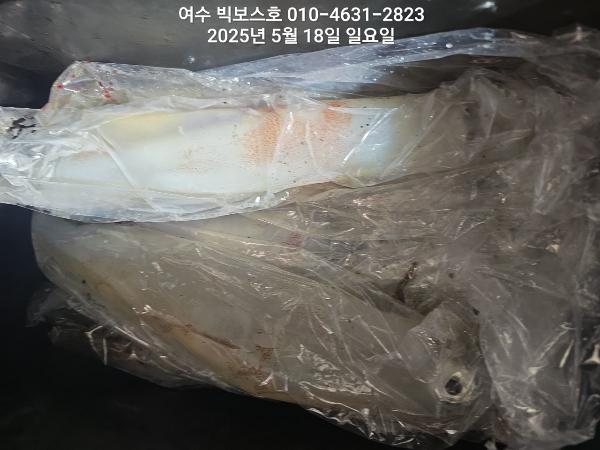 628BE685-119A-4CB7-9425-E87AD4B28F82.jpeg