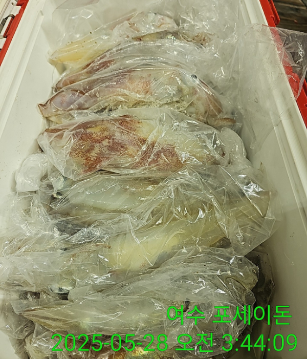 c2ae455d4760cf13fc8db3debc468ddc.jpg