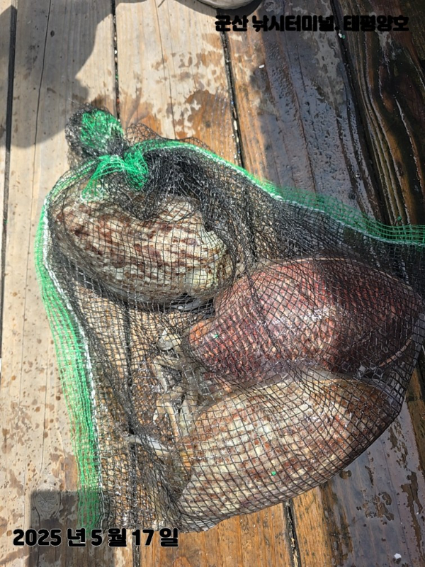 KakaoTalk_20250517_153904114_07 (1).jpg