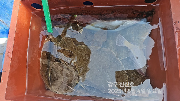신신낚시 강구점 신신호_사진_20250504_7.jpg