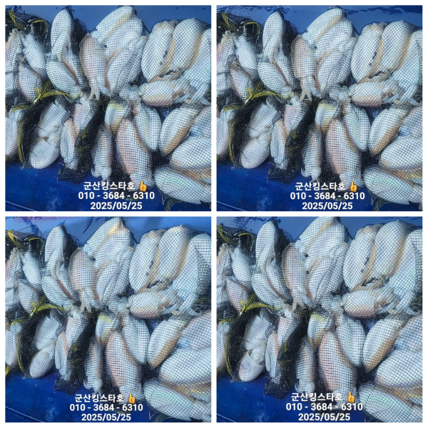 PhotoCollage_1748173051152.jpg