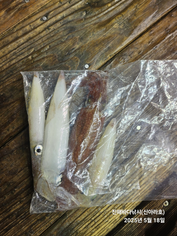 바다꾼낚시(신아라호)_사진_20250518_8.jpg