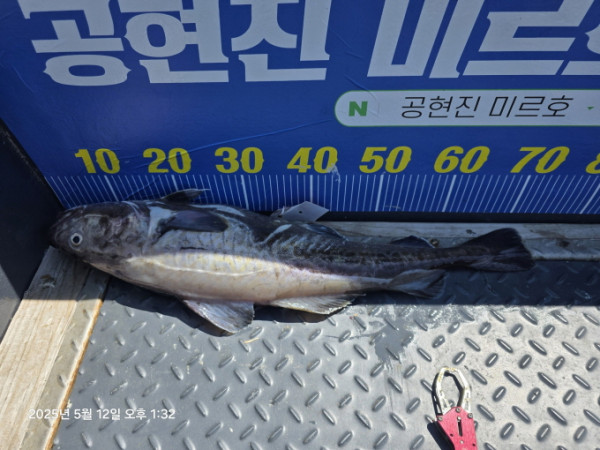 [크기변환]20250512_133207.jpg