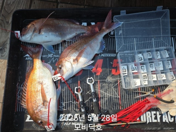 KakaoTalk_20250528_152432620_09.jpg