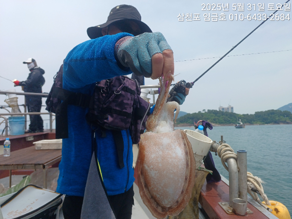 d1eaff97cac1e46c6b87ac02d43e578a.jpg