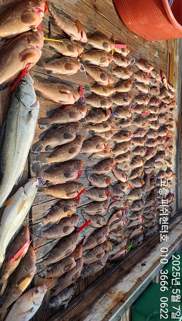 d87f5551bad82118d70f1faaf590da2e.jpg