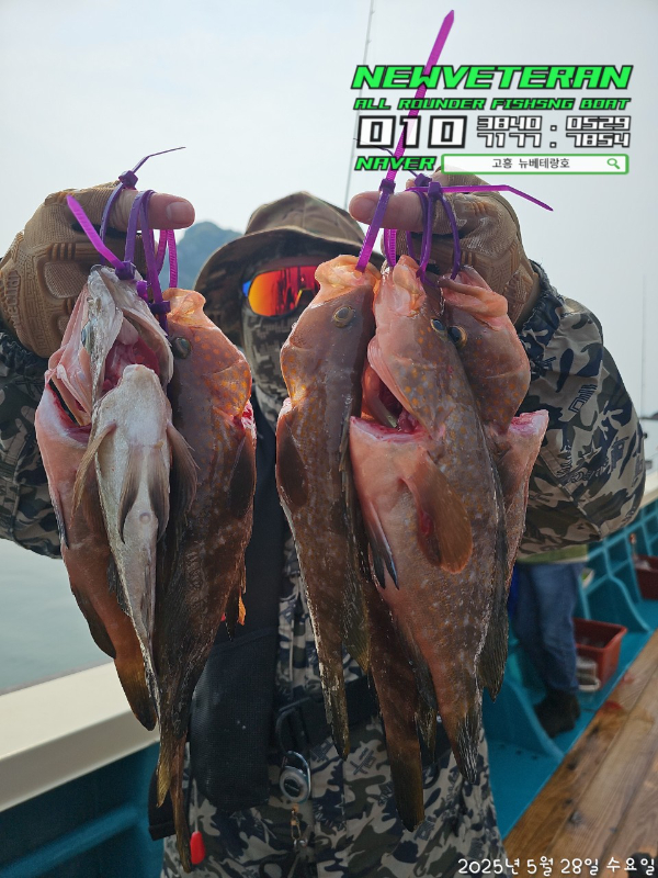 고흥뉴베테랑호_사진_20250528_6.jpg