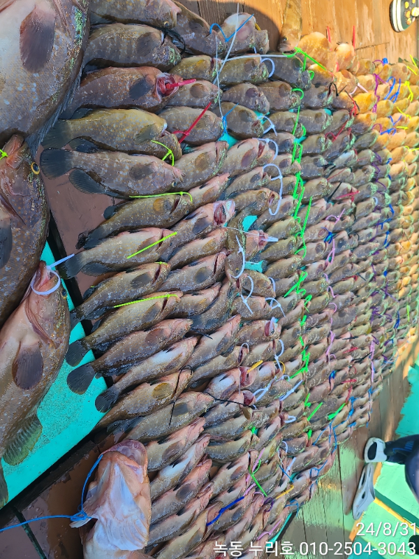 1000006397.jpg