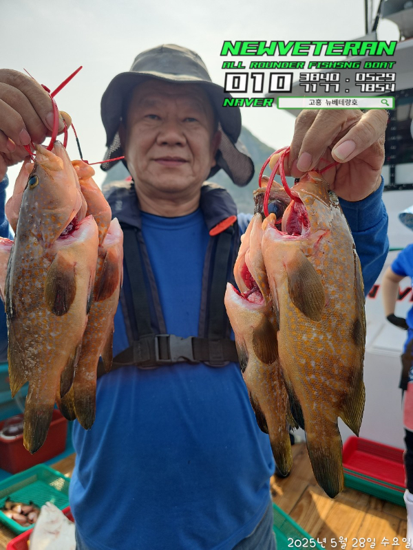 고흥뉴베테랑호_사진_20250528_13.jpg