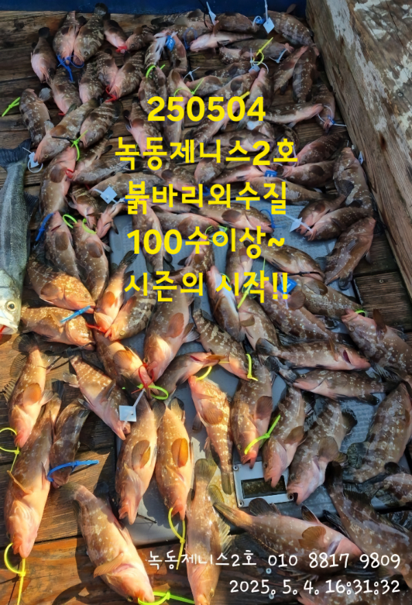 1000031600.jpg